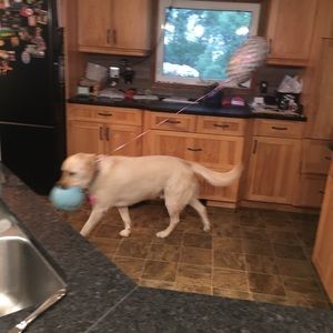 Meet your Posher, Doug